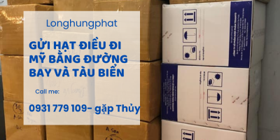 Dịch vụ vận chuyển hạt điều đi Mỹ bằng đường bay và tàu biển uy tín